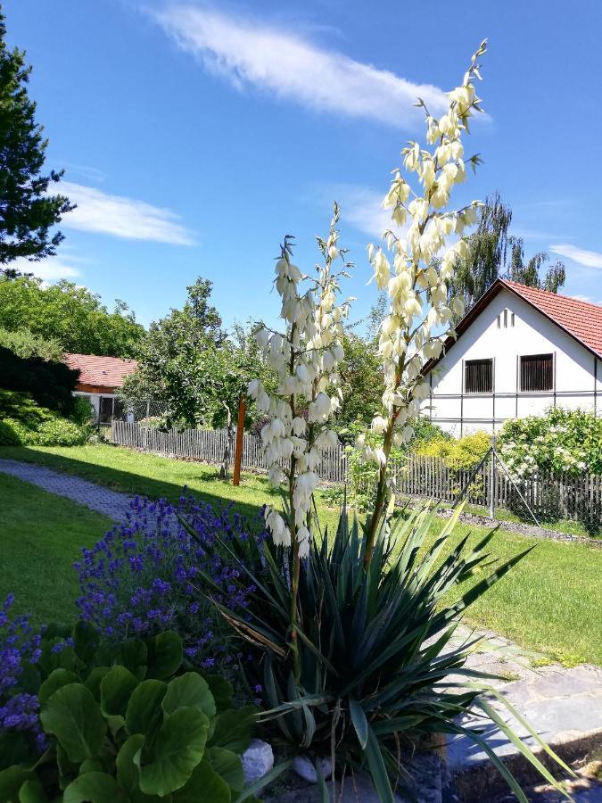 Ferienwohnung Bliem Фельдкирхен  Экстерьер фото